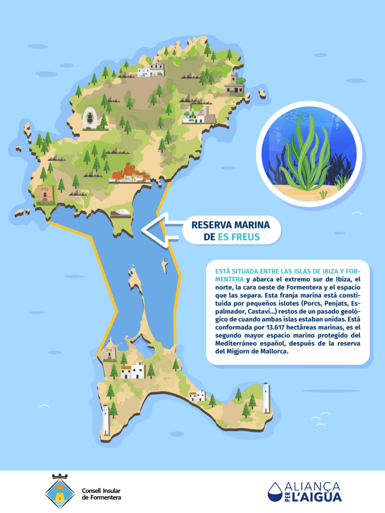 03. Reserva Marina de Es Freus-02
