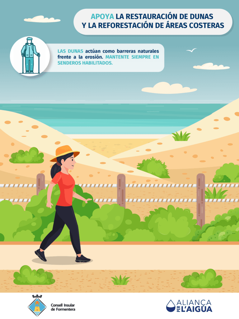 06. Apoya la restauración de dunas y la reforestación de áreas costeras-02
