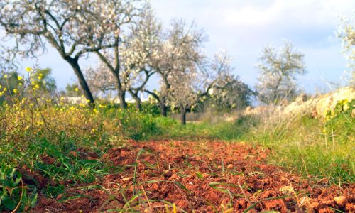 100021611_6dd1b90f6e_o