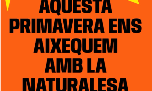 Alianza Restauración