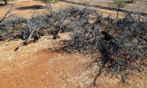 Imagen de WhatsApp 2025-09-23 a las 08.44.43_ee3fbf4f