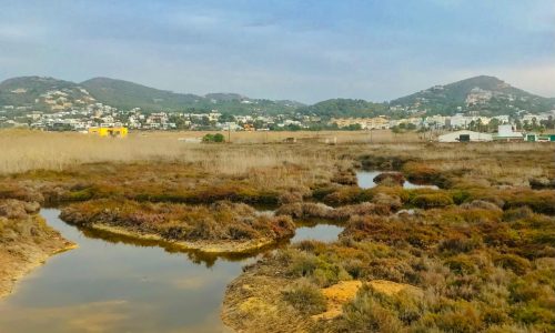 Ses Feixes desde nuevo observatorio