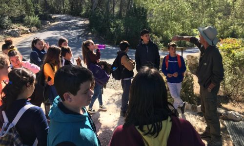 WhatsApp Image 2019-03-06 at 11.45.25