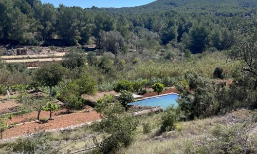 WhatsApp Image 2024-08-21 at 11.55.05