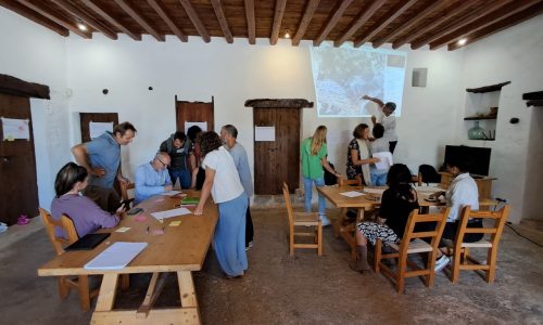 WhatsApp Image 2024-10-18 at 13.11.11