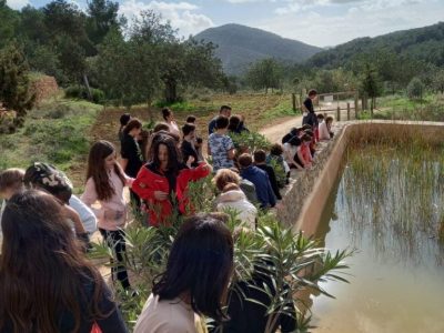 de72db98-4a63-466d-8457-51389871bb5b-768x1024