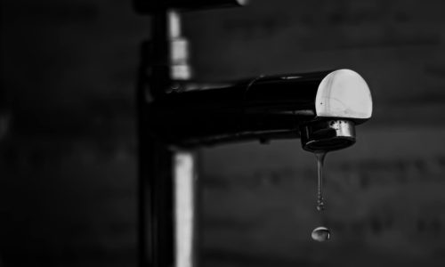 pexels-pranjall-kumar-150768-8720964